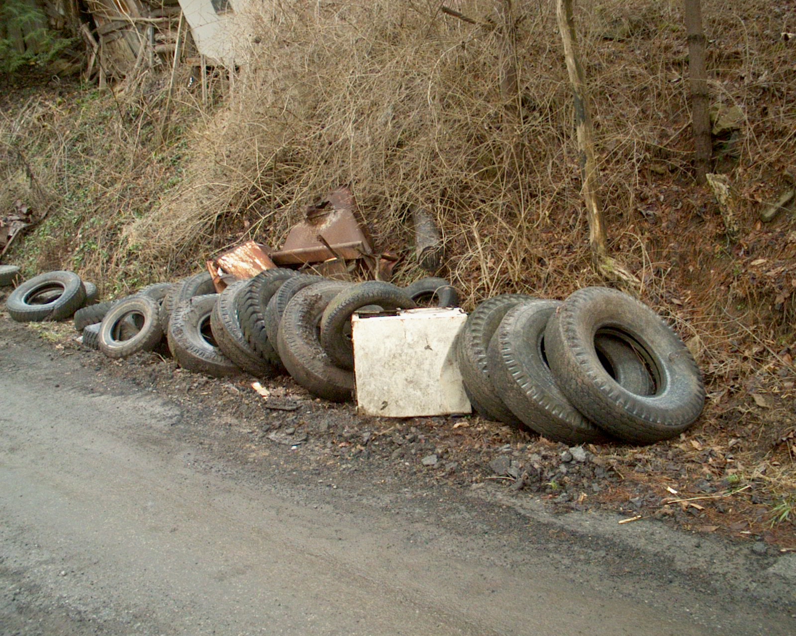 Dickenson County Cleanup 1