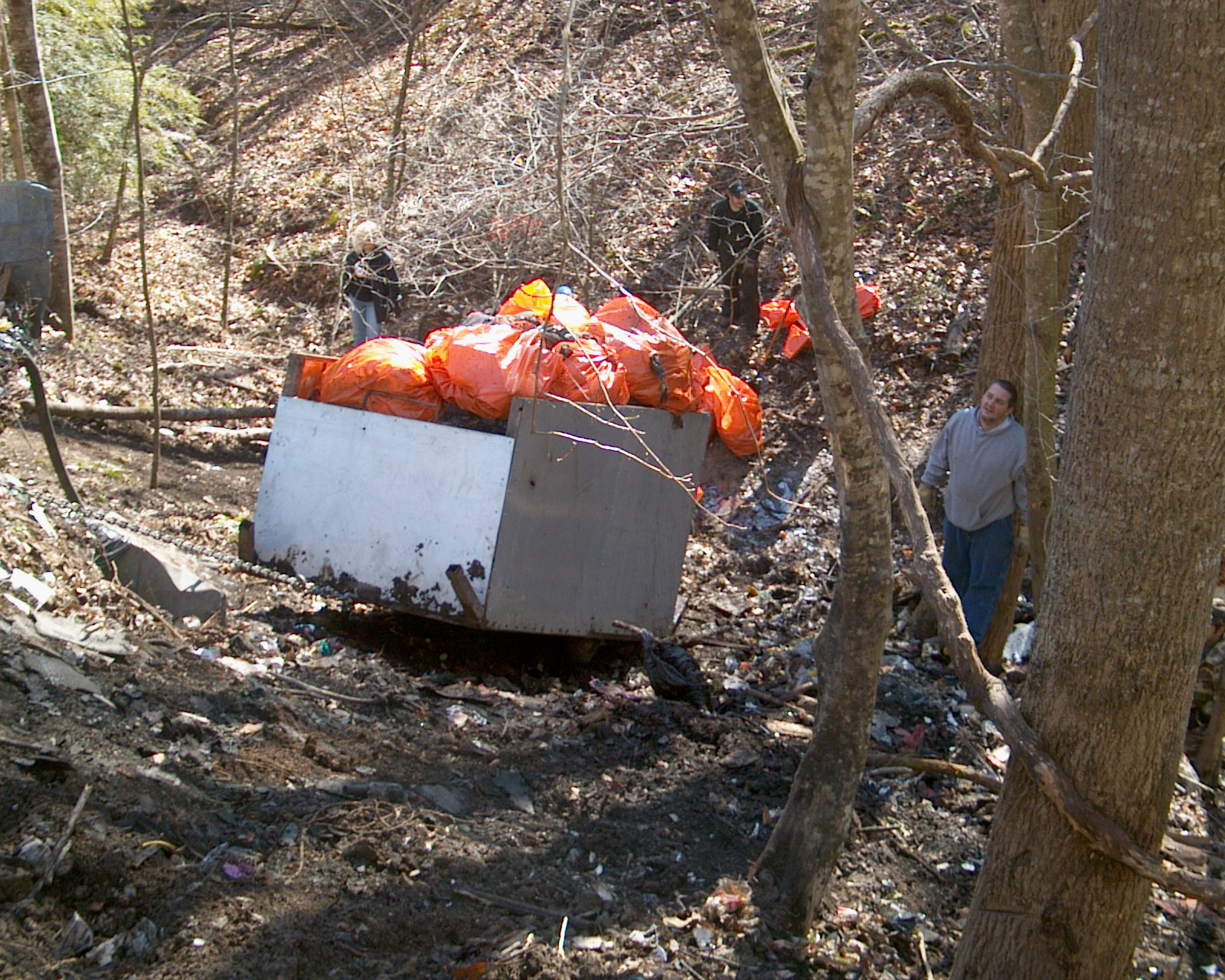 Buchanan Co Cleanup 1